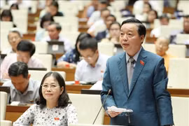 Le Vietnam appelle à la coopération internationale dans le dossier de l’eau du delta du Mékong