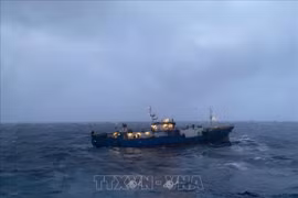 Un cargo russe en détresse remorqué par la marine vietnamienne