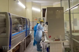 COVID-19 : le bilan des contaminations passe à 113