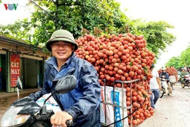 Les fruits vietnamiens continuent de conquérir des marchés difficiles
