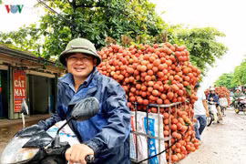 Les fruits vietnamiens continuent de conquérir des marchés difficiles