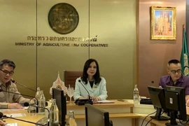 Thaïlande: les exportations de fruits vers la Chine plombées par le COVID-19