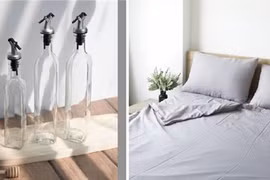 Blanc’ Vietnam : une start-up en ligne exemplaire