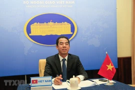 Consultation politique Vietnam-Kazakhstan au niveau de vice-ministre