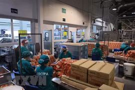 Les entreprises vietnamiennes laissent une bonne impression malgré le COVID-19