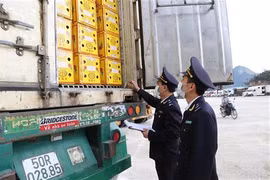 Vietnam - Chine : les échanges commerciaux de retour à la normale