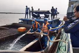 Des millions de litres d’eau potable transportées pour le Delta du Mékong