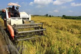 Le Vietnam s’emploie à assurer la sécurité alimentaire