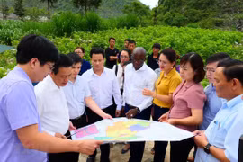 BM : recommandations de politiques au Vietnam pour maintenir une croissance de qualité