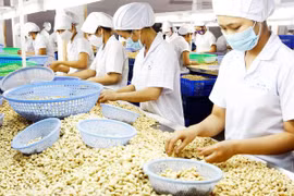 L’agriculture atteindrait un revenu d’exportation de 41 mds de dollars