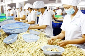 L’agriculture atteindrait un revenu d’exportation de 41 mds de dollars