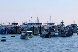 Création d’un comité national sur la stratégie de développement durable de l'économie marine 