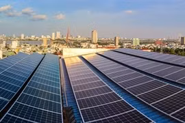 La ville de Da Nang commence 1 million de projets de maisons "vertes"