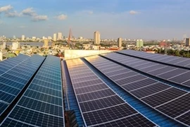 La ville de Da Nang commence 1 million de projets de maisons "vertes"