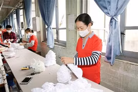 Les masques vietnamiens prêts à être exportés aux États-Unis et en Europe 