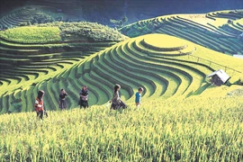 À Mu Cang Chai, l’écotourisme rime avec la préservation de l’identité culturelle