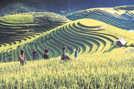 À Mu Cang Chai, l’écotourisme rime avec la préservation de l’identité culturelle