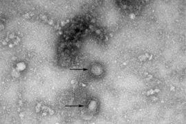 Nouveau coronavirus : le PM demande d’appliquer des mesures rigoureuses