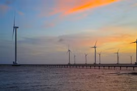 Le Vietnam, futur leader mondial de l'éolien offshore