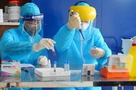 Le Vietnam entre dans sa 31e journée consécutive sans infections communautaires au COVID-19