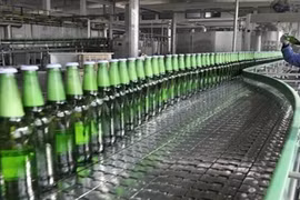 Début février : Plus de 240 millions de dollars injectés à Ba Ria-Vung Tau