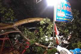 Des pluies torrentielles font un mort et 12 blessés dans les provinces du Nord