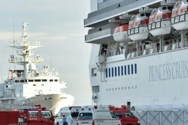 Thua Thiên-Huê : aucune infection après la visite du Diamond Princess