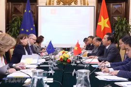 Le Vietnam et l'UE intensifient leur coopération