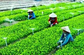 Le pays compte 1.292 coopératives agricoles appliquant la haute technologie