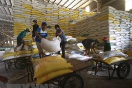 L'Afrique - un marché potentiel pour le riz vietnamien