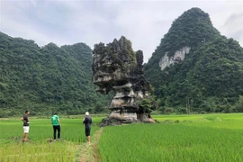 Cao Bang travaille avec des experts du Réseau mondial des Géoparcs