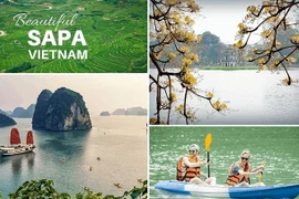 Google : le tourisme vietnamien a tendance à se remettre du COVID-19
