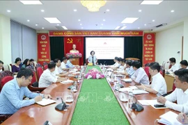 Renforcement du travail de sensibilisation auprès des masses pour les Vietnamiens résidant à l’étranger