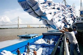 Le riz vietnamien s'insère au marché européen 