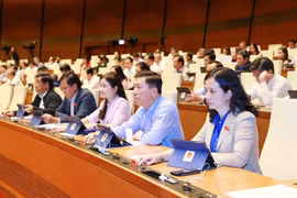 L’AN adopte une résolution sur le budget prévisionnel de l’État pour 2021