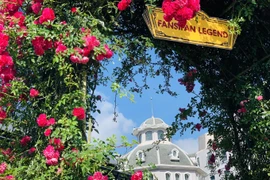 La vallée de roses à Sapa reconnue comme la plus grande du Vietnam