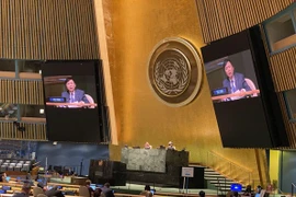 Spoutnik: 2020 est vraiment une année spéciale pour le Vietnam