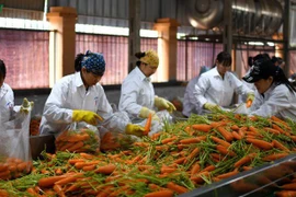 Vietnam: l'agriculture enregistre un excédent commercial malgré le coronavirus