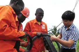 Le PM approuve la création d’entreprises de niveau 4 de Viettel à l’étranger
