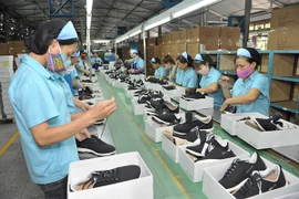 Le marché néerlandais prometteur pour les articles de sport vietnamiens