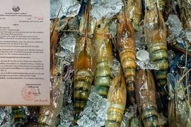 COVID-9 : Le Laos interdit l'importation de produits aquatiques de Thaïlande