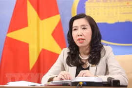 COVID-19: Aider des Vietnamiens à l'étranger à rentrer chez eux