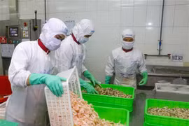 Le land allemand de Bavière cherche à étendre ses liens commerciaux avec le Vietnam