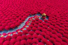 Un Vietnamien primé à un concours international de photos