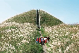 Binh Liêu, écrin de nature dans la province de Quang Ninh