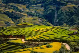 Y Ty échappe à la pauvreté grâce au développement du tourisme