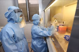 COVID-19 : les ambassadeurs de la Russie et du Chili saluent les efforts et les expériences du Vietnam