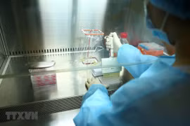 Au deuxième trimestre 2022, le Vietnam fournirait largement le vaccin COVID-19