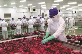 Le secteur agricole, l'un des grands gagnants de l’EVFTA