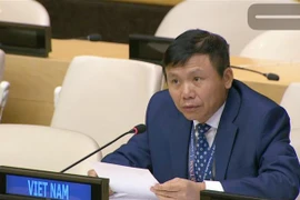 Le Vietnam appelle les partenaires internationaux à assister la Somalie